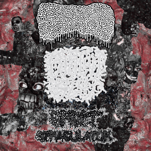 Biscuitslut : 3 Way Cross Contamination Split